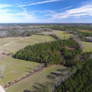 Photo of REDUCED!  191.03 Acres of Farm and Timber Land for Sale in Horry County SC!