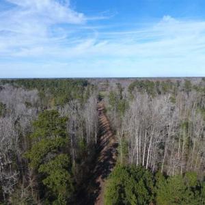 Photo of REDUCED!  191.03 Acres of Farm and Timber Land for Sale in Horry County SC!
