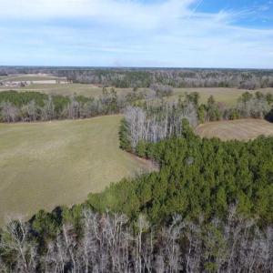 Photo of REDUCED!  191.03 Acres of Farm and Timber Land for Sale in Horry County SC!