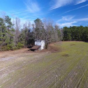 Photo of REDUCED!  191.03 Acres of Farm and Timber Land for Sale in Horry County SC!