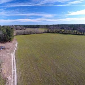 Photo of REDUCED!  191.03 Acres of Farm and Timber Land for Sale in Horry County SC!
