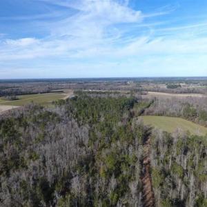 Photo of REDUCED!  191.03 Acres of Farm and Timber Land for Sale in Horry County SC!