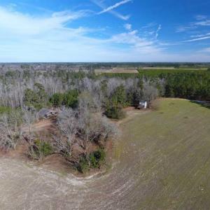 Photo of REDUCED!  191.03 Acres of Farm and Timber Land for Sale in Horry County SC!