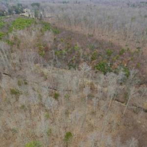 Photo of SOLD!!  28.8 Acres of Hunting and Residential Land For Sale in Fluvanna County VA!