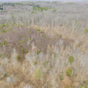 Photo of SOLD!!  28.8 Acres of Hunting and Residential Land For Sale in Fluvanna County VA!