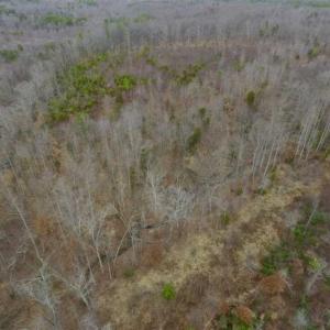 Photo of SOLD!!  28.8 Acres of Hunting and Residential Land For Sale in Fluvanna County VA!
