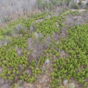 Photo of SOLD!!  28.8 Acres of Hunting and Residential Land For Sale in Fluvanna County VA!
