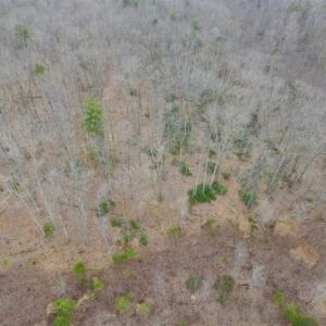 Photo of SOLD!!  28.8 Acres of Hunting and Residential Land For Sale in Fluvanna County VA!