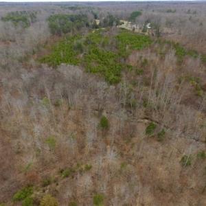 Photo of SOLD!!  28.8 Acres of Hunting and Residential Land For Sale in Fluvanna County VA!
