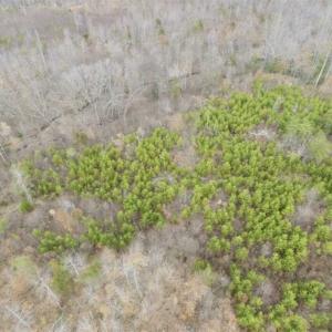 Photo of SOLD!!  28.8 Acres of Hunting and Residential Land For Sale in Fluvanna County VA!