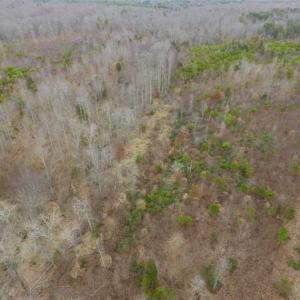 Photo of SOLD!!  28.8 Acres of Hunting and Residential Land For Sale in Fluvanna County VA!