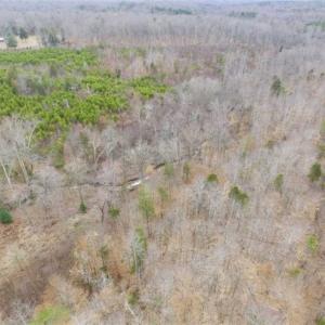 Photo of SOLD!!  28.8 Acres of Hunting and Residential Land For Sale in Fluvanna County VA!