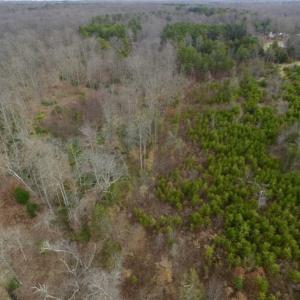 Photo of SOLD!!  28.8 Acres of Hunting and Residential Land For Sale in Fluvanna County VA!