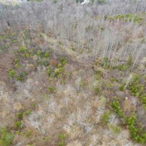 Photo of SOLD!!  28.8 Acres of Hunting and Residential Land For Sale in Fluvanna County VA!