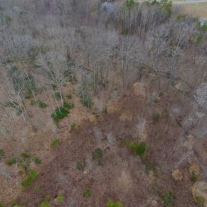 Photo of SOLD!!  28.8 Acres of Hunting and Residential Land For Sale in Fluvanna County VA!