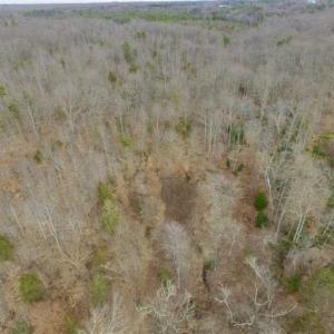 Photo of SOLD!!  28.8 Acres of Hunting and Residential Land For Sale in Fluvanna County VA!