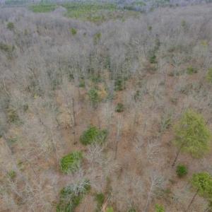 Photo of SOLD!!  28.8 Acres of Hunting and Residential Land For Sale in Fluvanna County VA!