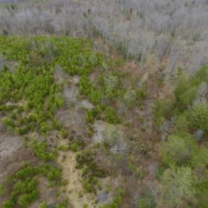 Photo of SOLD!!  28.8 Acres of Hunting and Residential Land For Sale in Fluvanna County VA!