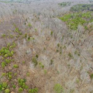 Photo of SOLD!!  28.8 Acres of Hunting and Residential Land For Sale in Fluvanna County VA!