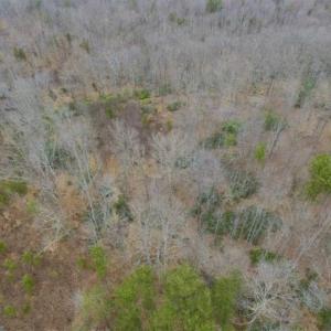 Photo of SOLD!!  28.8 Acres of Hunting and Residential Land For Sale in Fluvanna County VA!