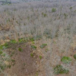 Photo of SOLD!!  28.8 Acres of Hunting and Residential Land For Sale in Fluvanna County VA!