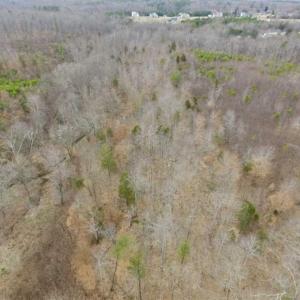 Photo of SOLD!!  28.8 Acres of Hunting and Residential Land For Sale in Fluvanna County VA!