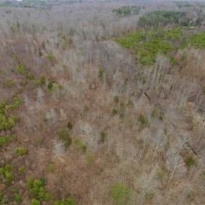 Photo of SOLD!!  28.8 Acres of Hunting and Residential Land For Sale in Fluvanna County VA!