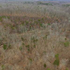 Photo of SOLD!!  28.8 Acres of Hunting and Residential Land For Sale in Fluvanna County VA!