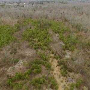 Photo of SOLD!!  28.8 Acres of Hunting and Residential Land For Sale in Fluvanna County VA!