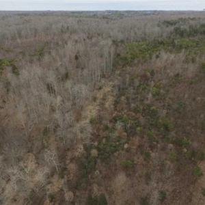 Photo of SOLD!!  28.8 Acres of Hunting and Residential Land For Sale in Fluvanna County VA!