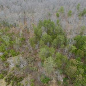 Photo of SOLD!!  28.8 Acres of Hunting and Residential Land For Sale in Fluvanna County VA!
