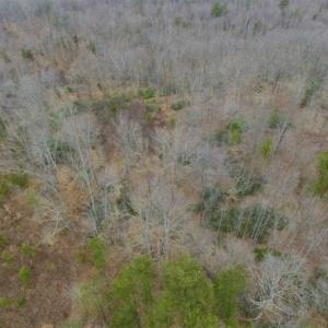 Photo of SOLD!!  28.8 Acres of Hunting and Residential Land For Sale in Fluvanna County VA!