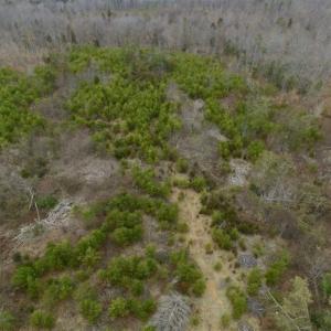 Photo of SOLD!!  28.8 Acres of Hunting and Residential Land For Sale in Fluvanna County VA!
