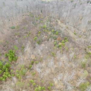 Photo of SOLD!!  28.8 Acres of Hunting and Residential Land For Sale in Fluvanna County VA!