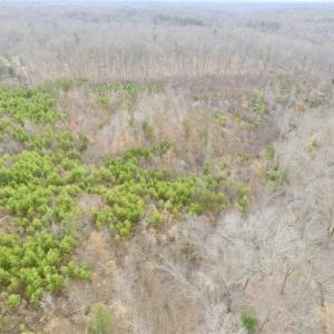 Photo of SOLD!!  28.8 Acres of Hunting and Residential Land For Sale in Fluvanna County VA!