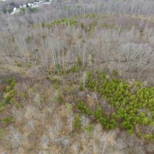 Photo of SOLD!!  28.8 Acres of Hunting and Residential Land For Sale in Fluvanna County VA!