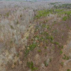 Photo of SOLD!!  28.8 Acres of Hunting and Residential Land For Sale in Fluvanna County VA!