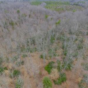 Photo of SOLD!!  28.8 Acres of Hunting and Residential Land For Sale in Fluvanna County VA!