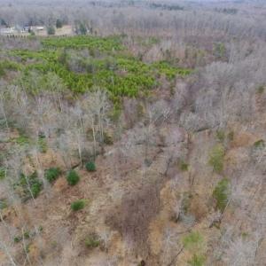 Photo of SOLD!!  28.8 Acres of Hunting and Residential Land For Sale in Fluvanna County VA!
