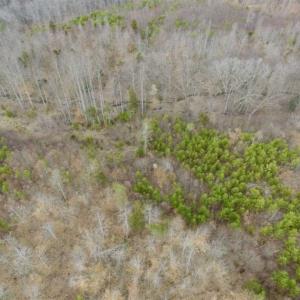 Photo of SOLD!!  28.8 Acres of Hunting and Residential Land For Sale in Fluvanna County VA!