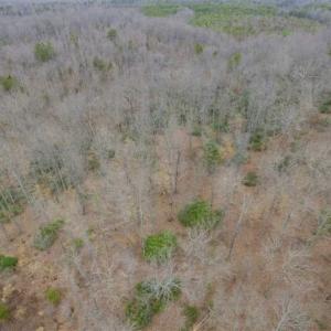Photo of SOLD!!  28.8 Acres of Hunting and Residential Land For Sale in Fluvanna County VA!