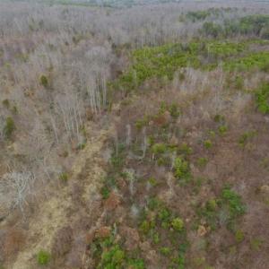 Photo of SOLD!!  28.8 Acres of Hunting and Residential Land For Sale in Fluvanna County VA!