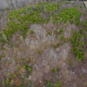 Photo of SOLD!!  28.8 Acres of Hunting and Residential Land For Sale in Fluvanna County VA!