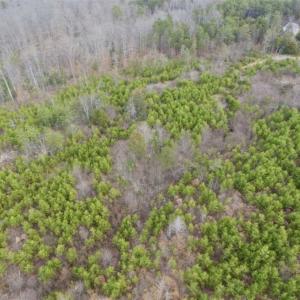 Photo of SOLD!!  28.8 Acres of Hunting and Residential Land For Sale in Fluvanna County VA!