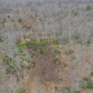 Photo of SOLD!!  28.8 Acres of Hunting and Residential Land For Sale in Fluvanna County VA!