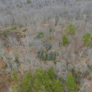 Photo of SOLD!!  28.8 Acres of Hunting and Residential Land For Sale in Fluvanna County VA!