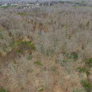 Photo of SOLD!!  28.8 Acres of Hunting and Residential Land For Sale in Fluvanna County VA!