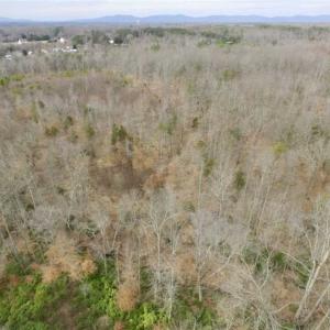 Photo of SOLD!!  28.8 Acres of Hunting and Residential Land For Sale in Fluvanna County VA!