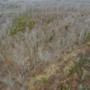 Photo of SOLD!!  28.8 Acres of Hunting and Residential Land For Sale in Fluvanna County VA!