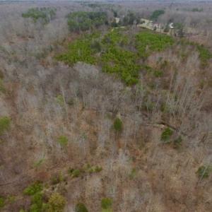 Photo of SOLD!!  28.8 Acres of Hunting and Residential Land For Sale in Fluvanna County VA!